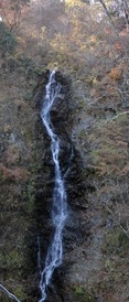 PB090440 (274x640)