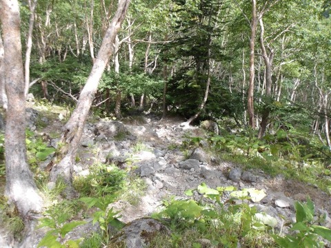 100_0237 (カスタム)