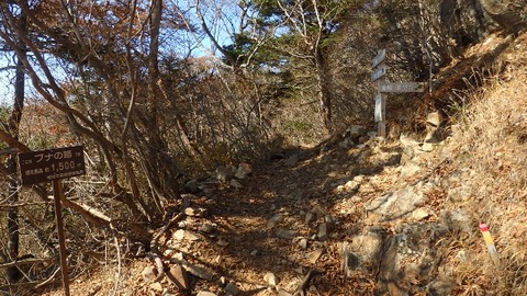 PB090395 (640x360)