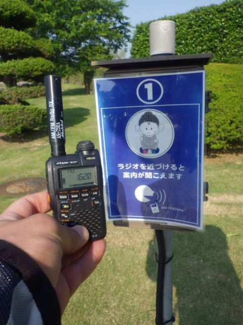 イメージ 8