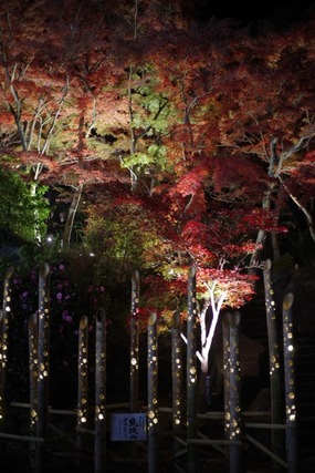 IMGP2935 (カスタム)