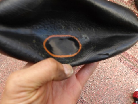 100_0169 (カスタム)