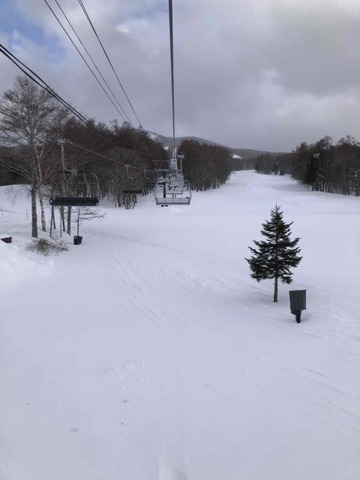 IMG_7444 (カスタム)