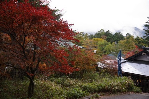 IMGP2687 (カスタム)