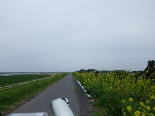 イメージ 2