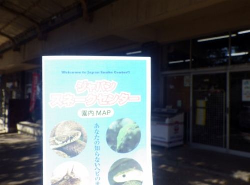 イメージ 6