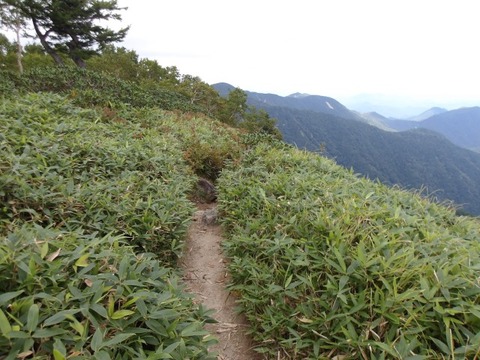 100_0258 (カスタム)