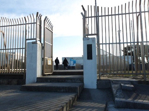 100_0689 (カスタム)