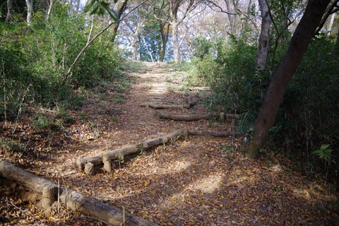 IMGP0194 (640x427)