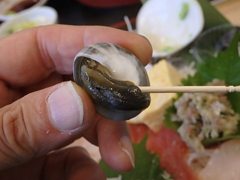 PA240090 (640x480)