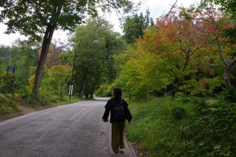 IMGP2566 (カスタム)