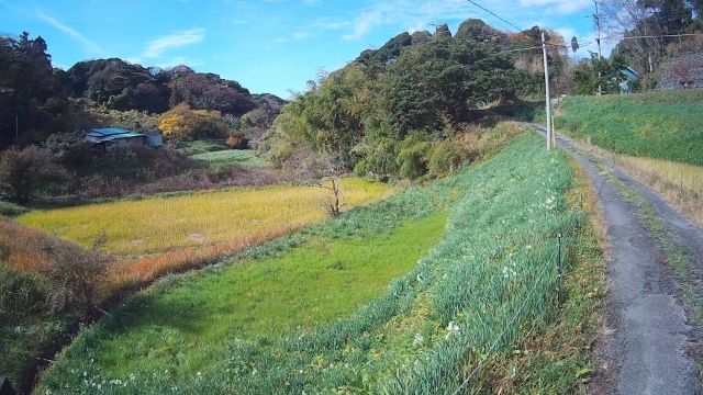 イメージ 50