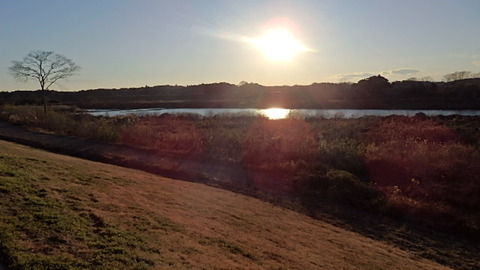 P1018234