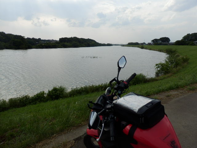 イメージ 6