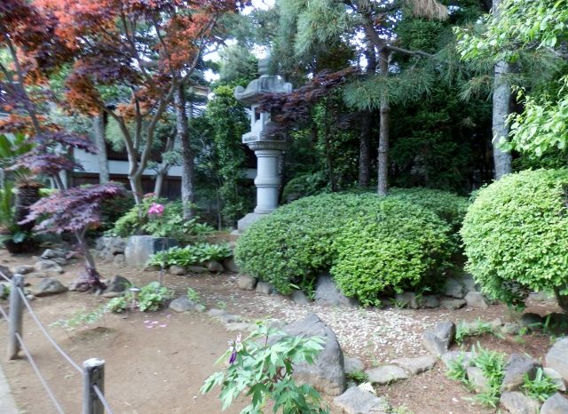 イメージ 17