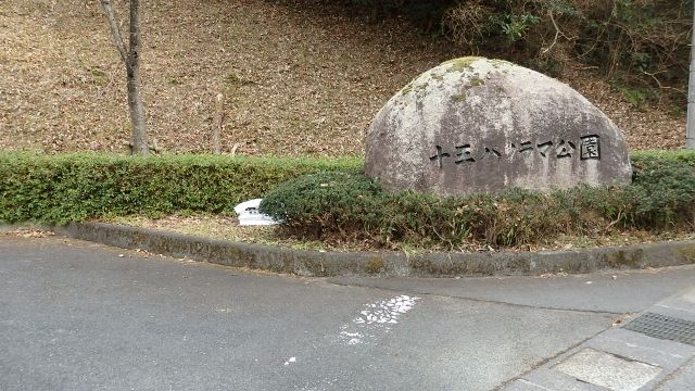 イメージ 6