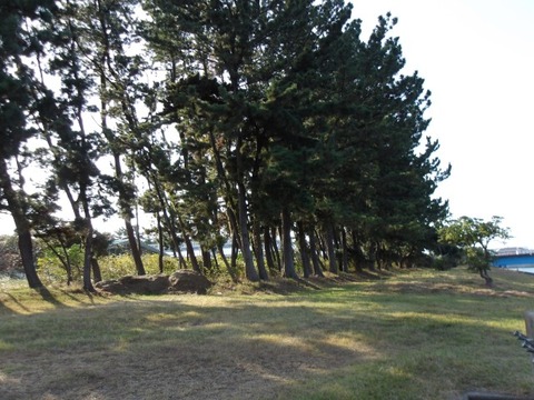 100_0632 (カスタム)