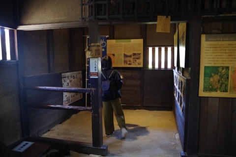 IMGP2482 (カスタム)