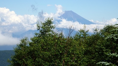 P8050097 (640x360)