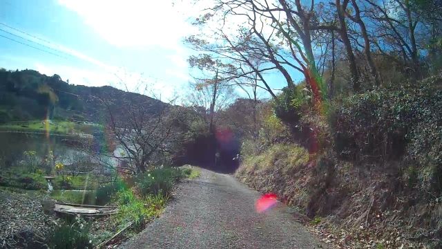 イメージ 36