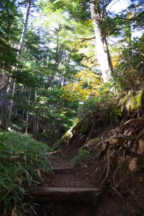 IMGP2616 (カスタム)