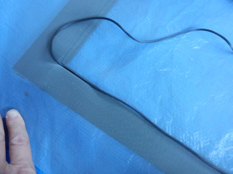P5110199
