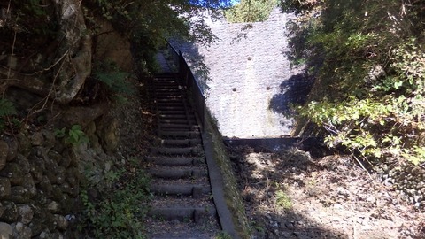 PB080143 (640x360)
