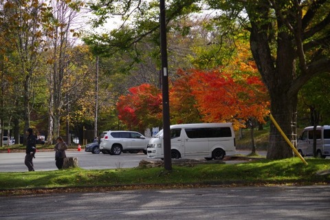 IMGP2676 (カスタム)