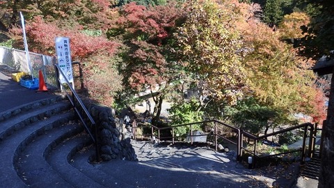 PB080238 (640x360)