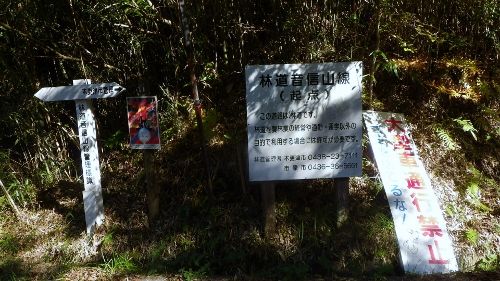イメージ 5