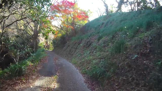 イメージ 35