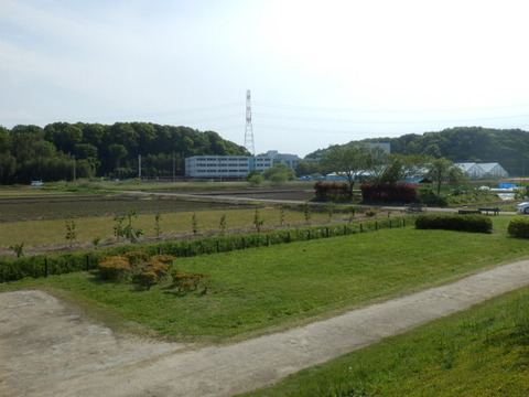 P5010389