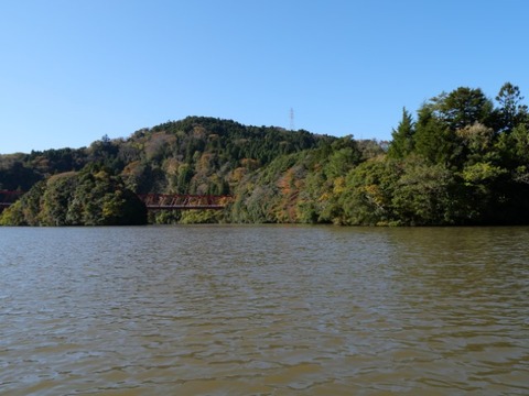 P1002397 (カスタム)