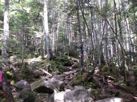 100_0116 (カスタム)