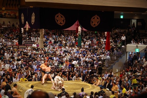 IMGP2384 (カスタム)