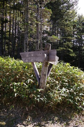 IMGP2589 (カスタム)