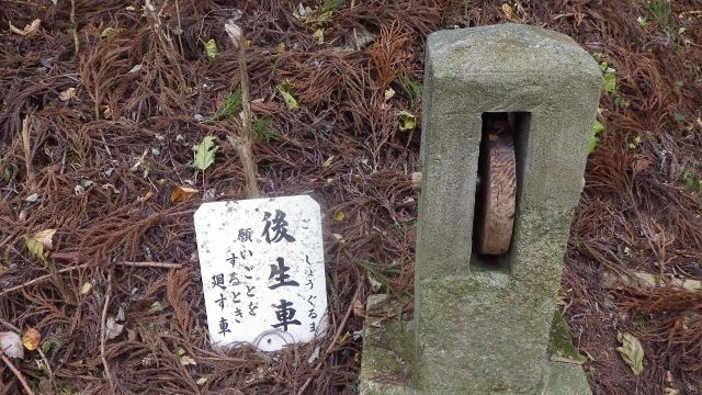 イメージ 6