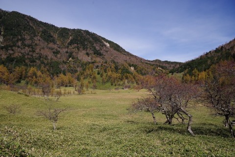 IMGP2611 (カスタム)