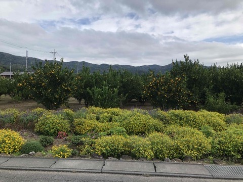 IMG_6624 (カスタム)