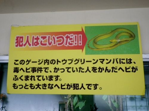 イメージ 8