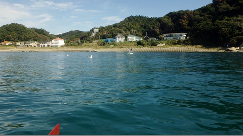 IMGP0021