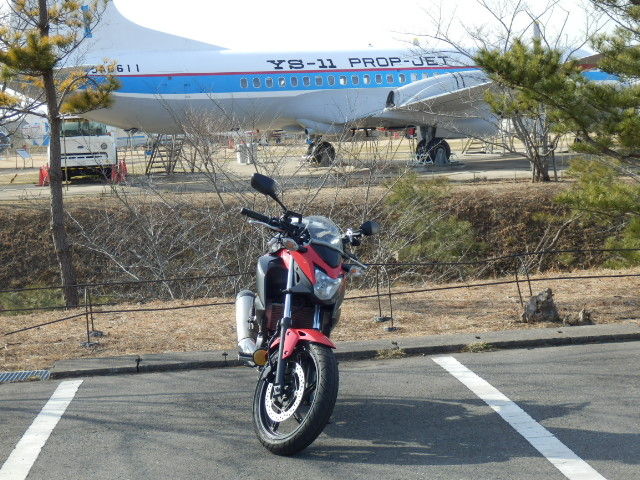 イメージ 6