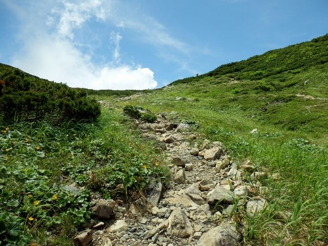 イメージ 36
