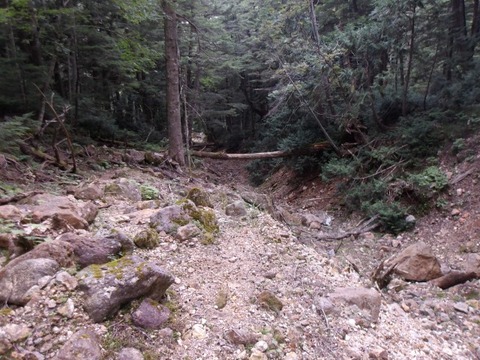 100_0278 (カスタム)