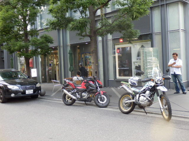 イメージ 10