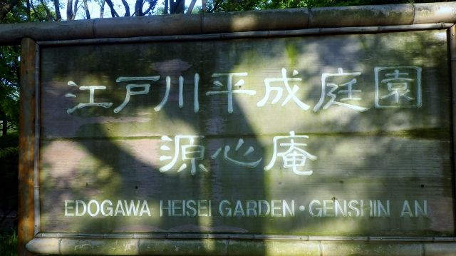 イメージ 5