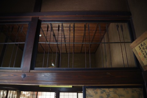 IMGP2460 (カスタム)