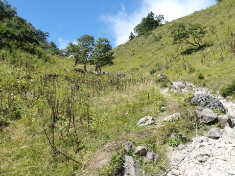 100_0212 (カスタム)