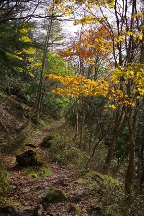 IMGP2644 (カスタム)