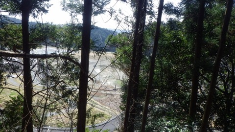 IMGP1082 (640x360)
